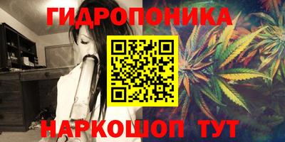 apvp Партизанск