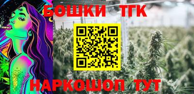 apvp Партизанск