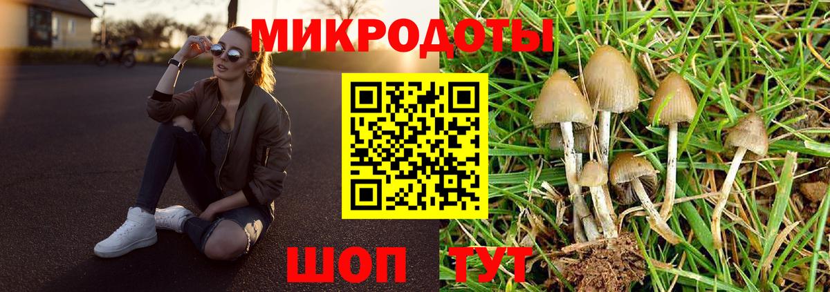 Подольск  Псилоцибиновые грибы мухоморы  Псилоцибиновые грибы GOLDEN TEACHER  Вход с VPN 